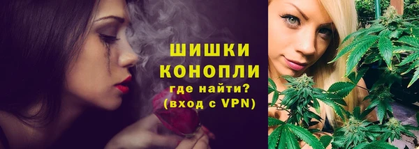 шишки Аркадак