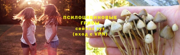 apvp Арсеньев