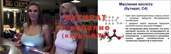 шишки Аркадак