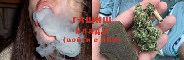 шишки Аркадак