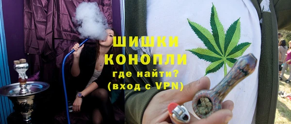 шишки Аркадак