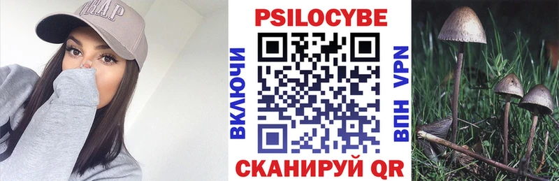 цена наркотик  ОМГ ОМГ зеркало  Псилоцибиновые грибы Psilocybine cubensis  Сосновый Бор 