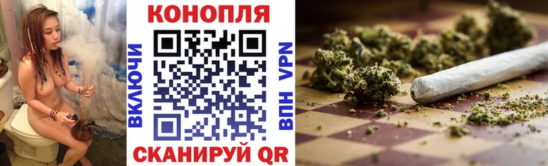ссылка на мегу маркетплейс  Сосновый Бор  Канабис сатива 